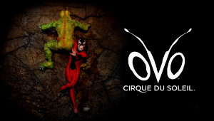 Cirque du Soleil em São Paulo